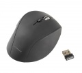 Vivanco Wireless Mouse - It-ms Rf 1600 Mouse Wireless Bk - 36640